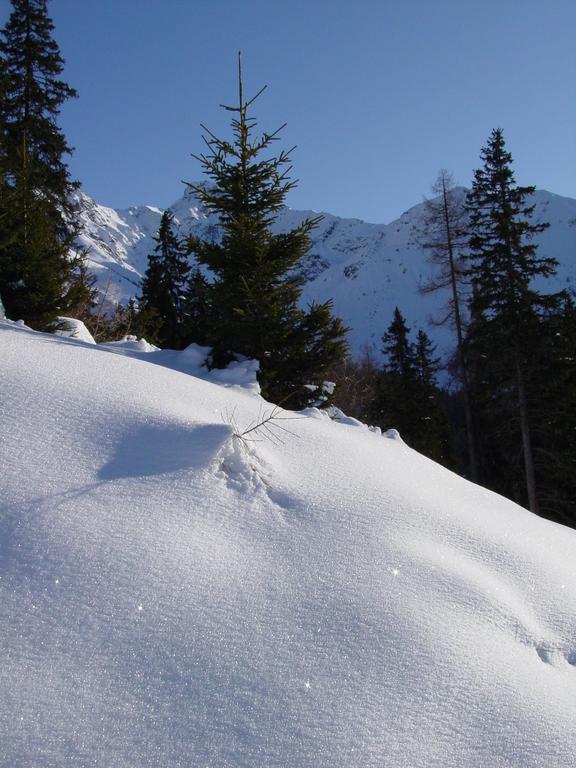 Gaestehaus Walch Fendels Bagian luar foto