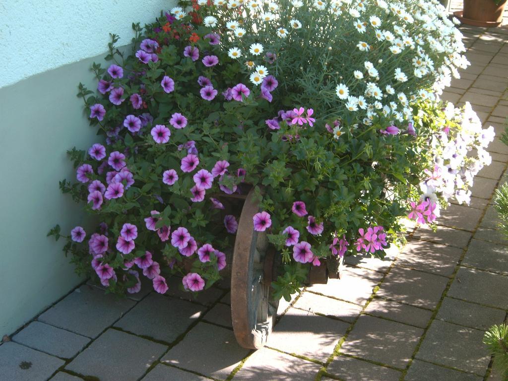 Gaestehaus Walch Fendels Bagian luar foto
